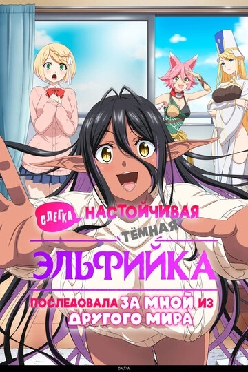 Слегка настойчивая тёмная эльфийка