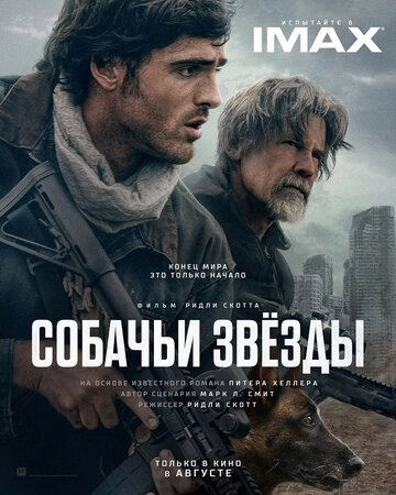 Собачьи звёзды
